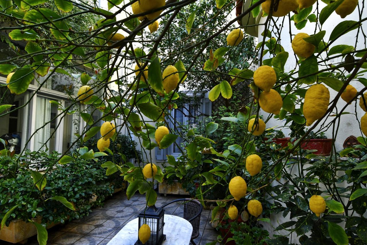 Athens Authentic Elegance At Acropolis Apartment Exterior photo